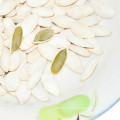 Shine skin pumpkin seeds from Inner Mongolia